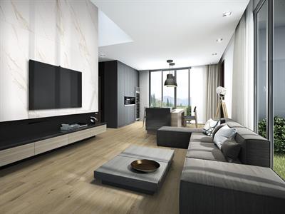CALACATTA GOLD DIVINA 60X120 9mm LAPP/RETT