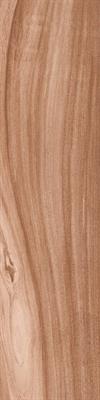 ELEGANCE BROWN 15,6X60,6 SC.MS